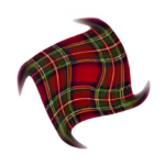 Enterprise Stewardship Logo (1)